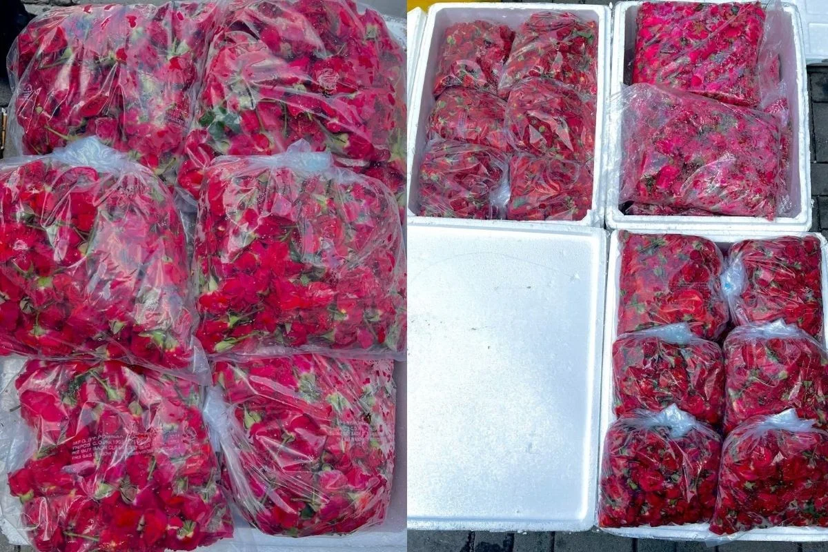 AKPS_rampas_46kg_bunga_ros_dari_India_tanpa_permit_MAQIS