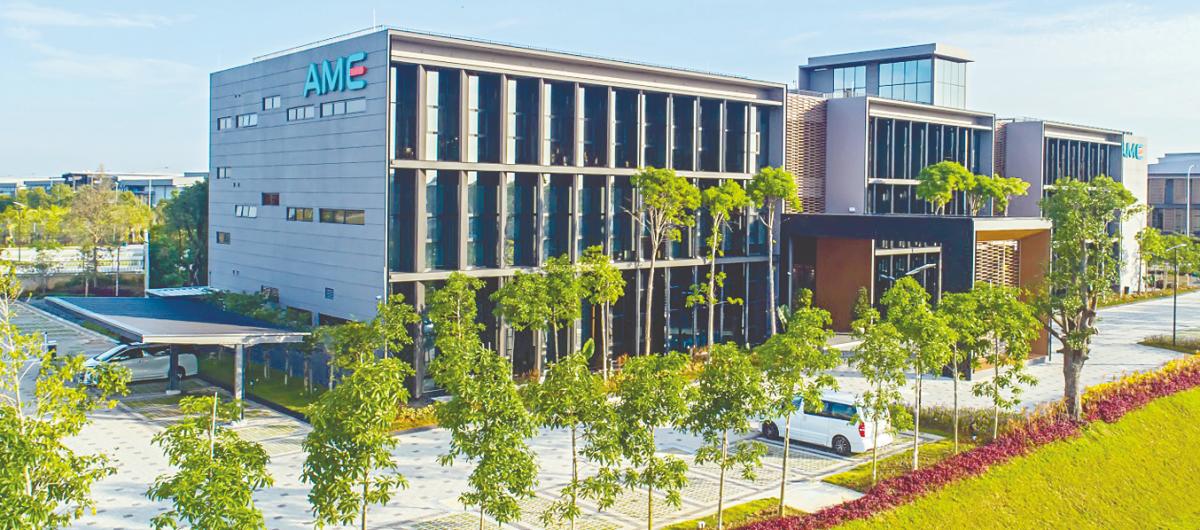 AME Elite delivers higher revenue, net profit in Q4’25 AME Elite delivers higher revenue, net profit in Q4’25