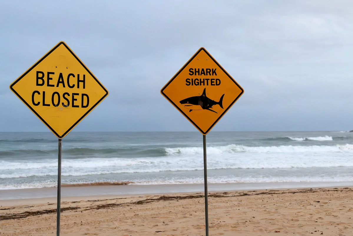 Fourth shark attack in 48 hours prompts beach closures in New South Wales Fourth shark attack in 48 hours prompts beach closures in New South Wales
