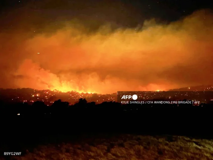 Australia declares state of disaster as bushfires rage