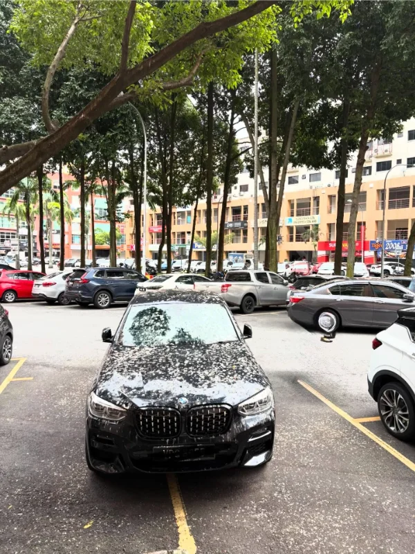 BMW owner takes up two parking spaces, ends up covered in bird droppingsBMW owner takes up two parking spaces, ends up covered in bird droppings