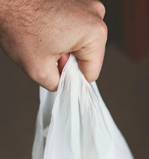 Ban on single-use plastic bags in parks and certain premises