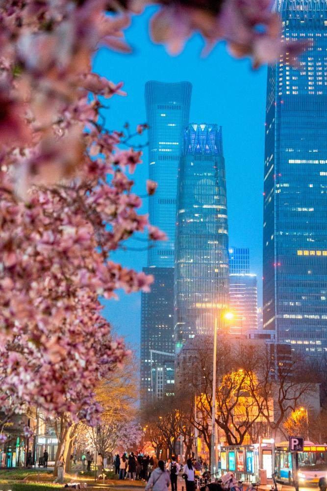 Beijing Chaoyang Garden Festival Kicks Off in the Bustling City Beijing Chaoyang Garden Festival Kicks Off in the Bustling City