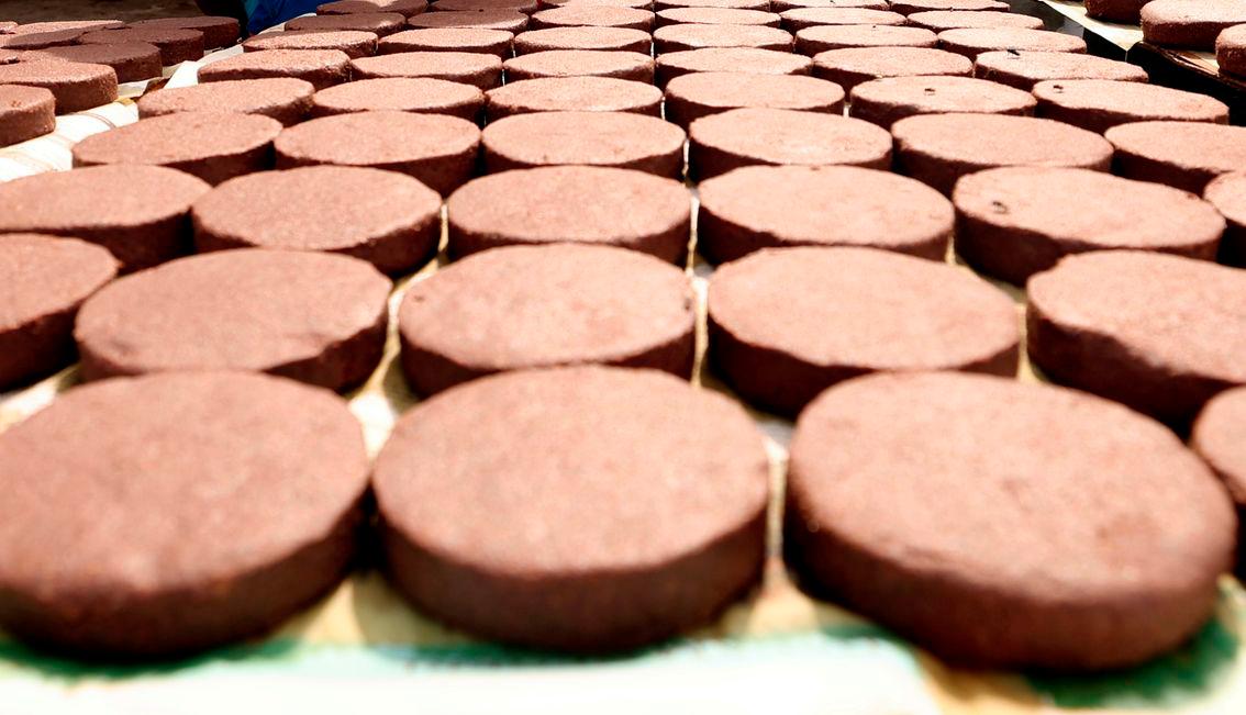 Belacan' factory probed over mass fish deaths in Bagan Datuk