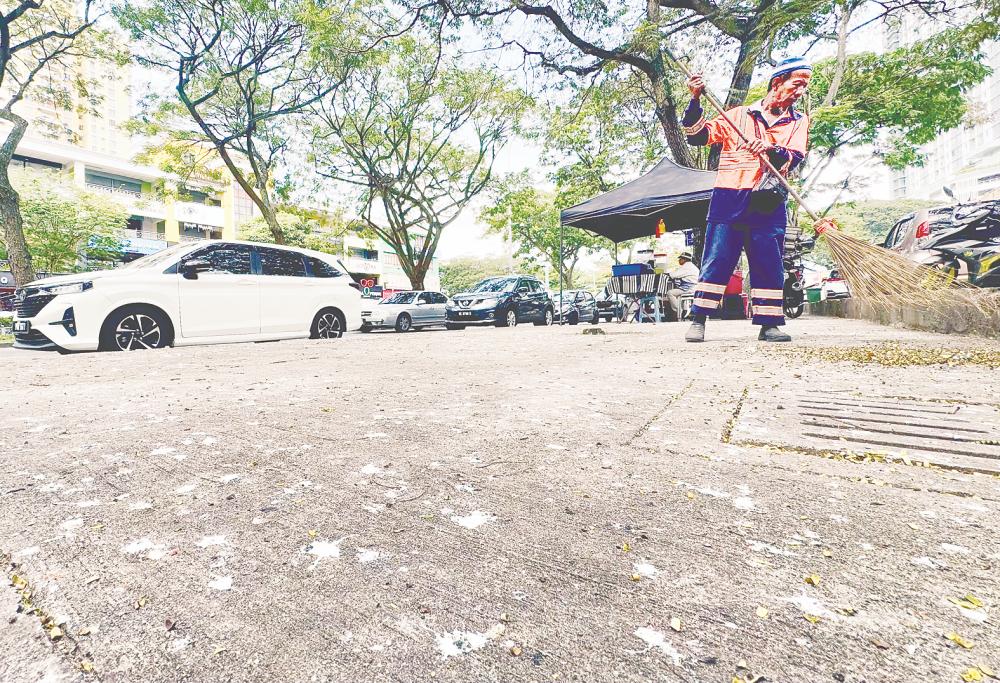 Bird droppings pose challenges in urban areas 