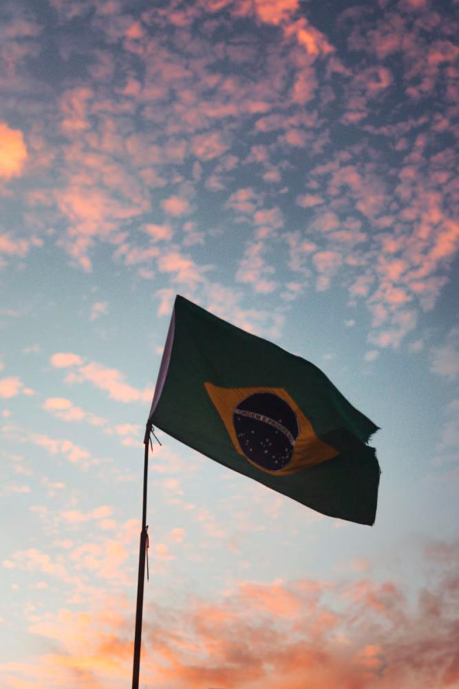 Bolsonaro son leaves Congress role in Brazil to build support in the US
