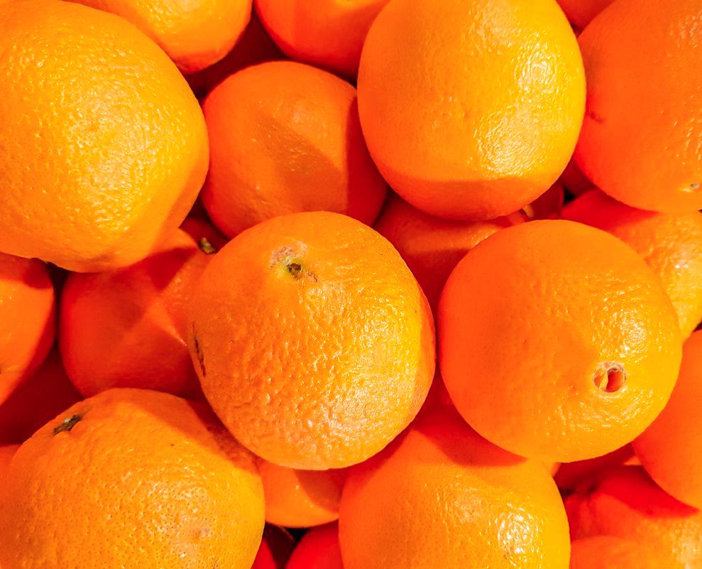 Brazil orange juice byproducts hit by 50% US tariffs Brazil orange juice byproducts hit by 50% US tariffs