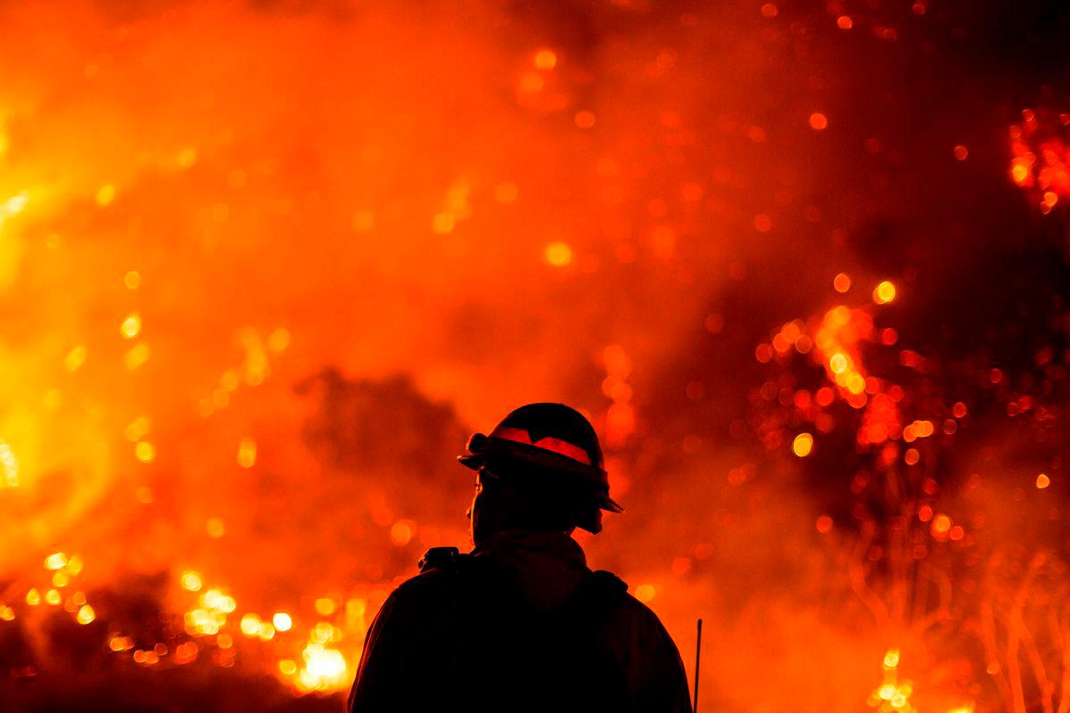 Brazil records 62% jump in area burned by forest fires: monitor