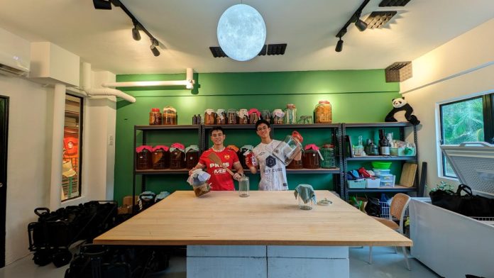 Brewer brothers bank on concept that no bodies are alike Brewer brothers bank on concept that no bodies are alike