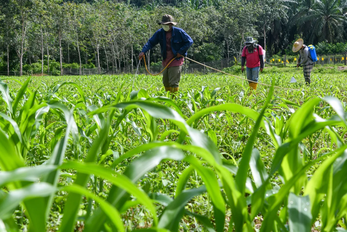Call_to_address_rising_pressure_in_agricultural_sector
