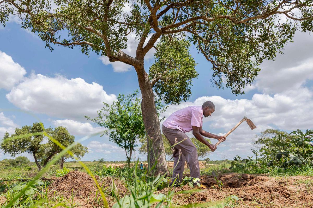 Can cash handouts replace aid? Kenya offers some answers Can cash handouts replace aid? Kenya offers some answers