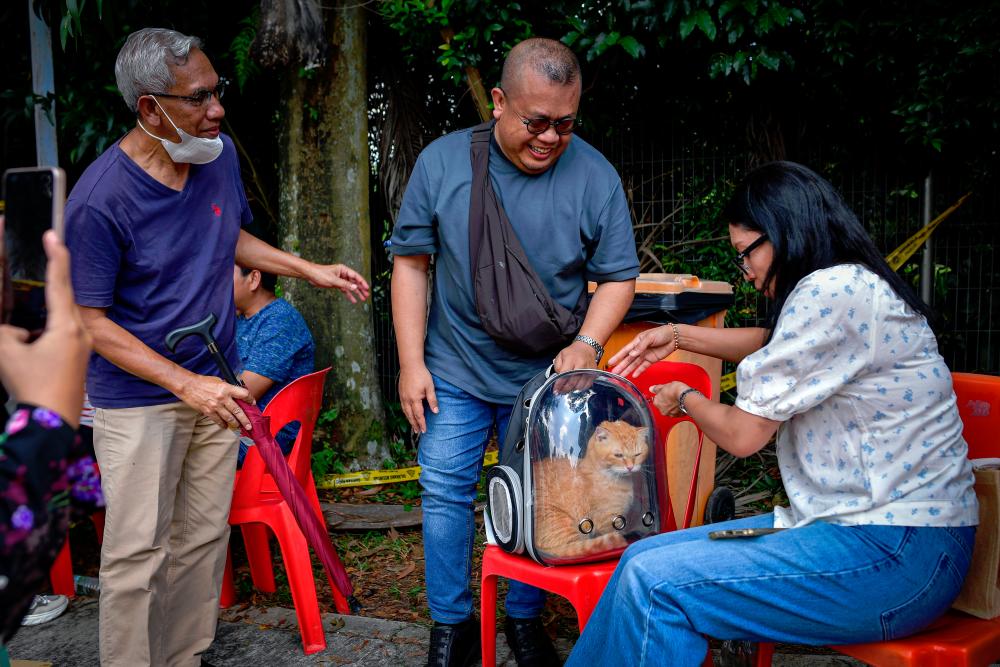 Cat reunited with owner after gas pipeline fire engulfs Putra Heights Cat reunited with owner after gas pipeline fire engulfs Putra Heights