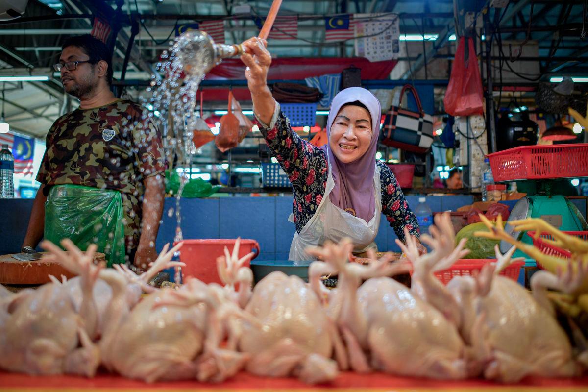 Chicken prices stable after subsidy ends - KPDN