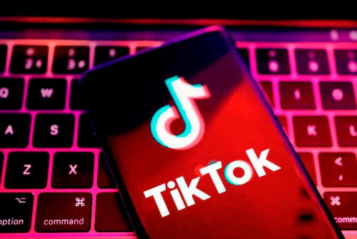 China mulls potential sale of TikTok US to Musk, Bloomberg News reports