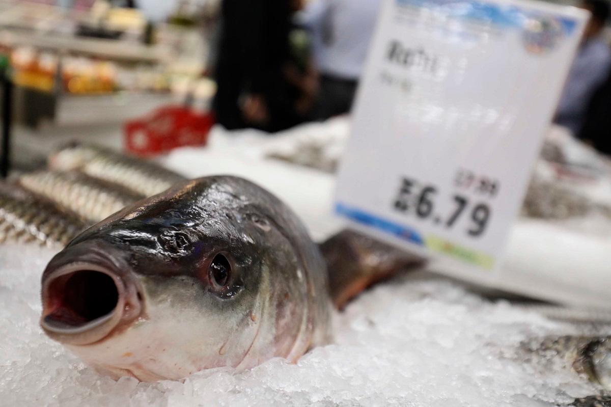 China to resume some Japanese seafood imports after Fukushima ban