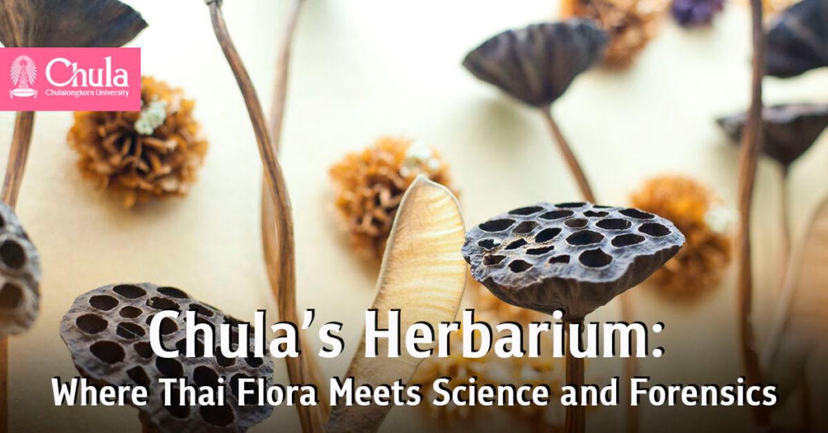Chulalongkorn herbarium aids science, crime-solving, and conservation