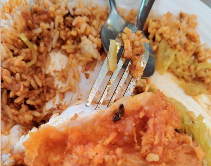 Cockroach found in nasi kandar at Mont Kiara restaurant