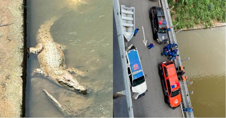 Croc spotted in Klang river close to Mid Valley shopping mall Croc spotted in Klang river close to Mid Valley shopping mall