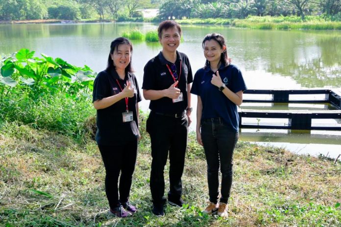 Cultivating sustainability in Kampar’s lakes Cultivating sustainability in Kampar’s lakes