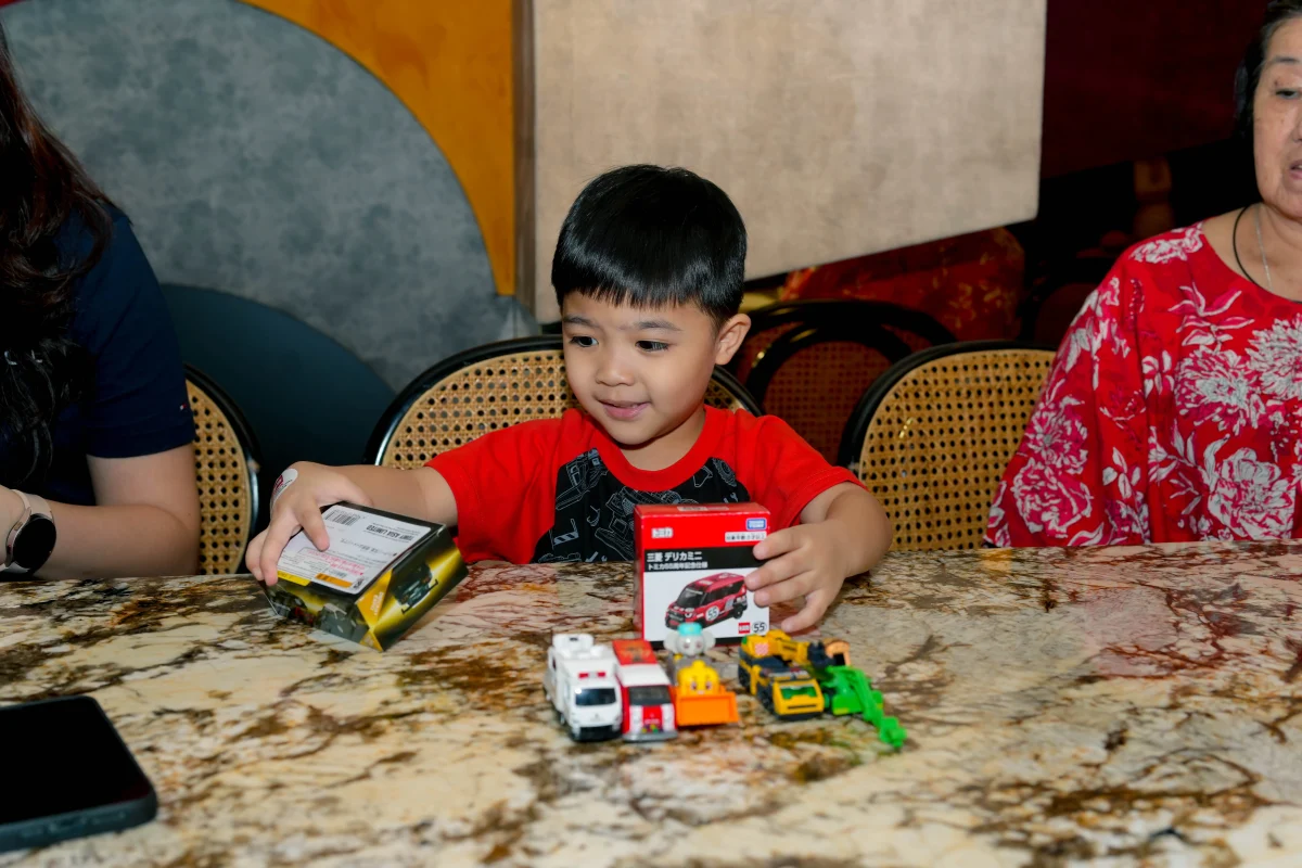 Diecast toy cars bring joy to malaysian collectors