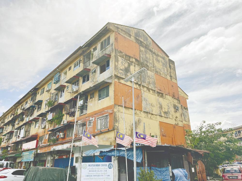Double threat from unassuming mould growth Double threat from unassuming mould growth