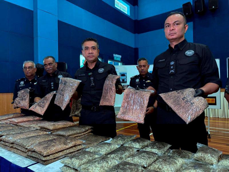 Drug trafficking ring targeting three countries busted in Johor Drug trafficking ring targeting three countries busted in Johor