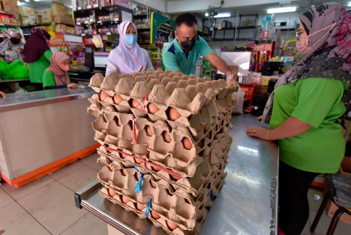 Egg prices stable after subsidy removal in Malaysia Egg prices stable after subsidy removal in Malaysia
