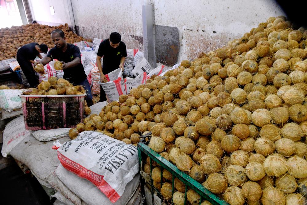 FAMA imports 1,053 tonnes of coconuts to ensure stable supply - KPKM FAMA imports 1,053 tonnes of coconuts to ensure stable supply - KPKM
