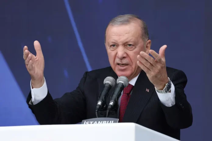 Erdogan praises Syrian army's 'careful' offensive in Kurdish areas