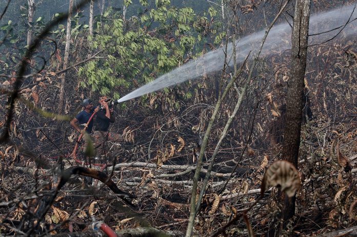 Bomba Johor lancar pengeboman air udara padam kebakaran gambut