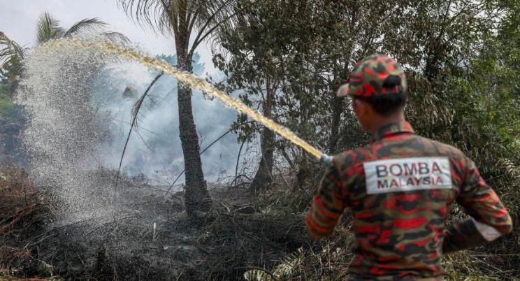 Fire in forest and pineapple plantation spreads over 113 hectares - Pahang JBPM 