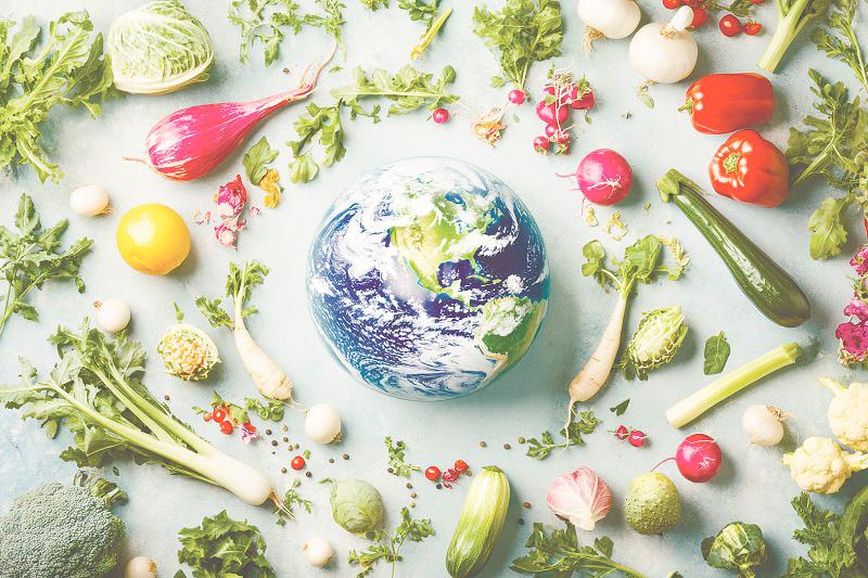 Food security in the face of climate change