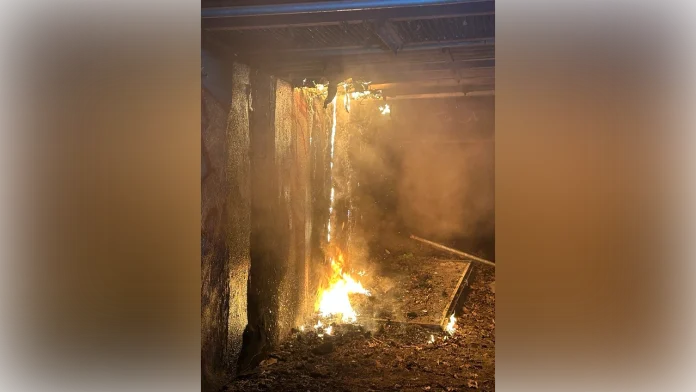 Berlin blackout sparks anger after far-left arson attack on power grid Berlin blackout sparks anger after far-left arson attack on power grid