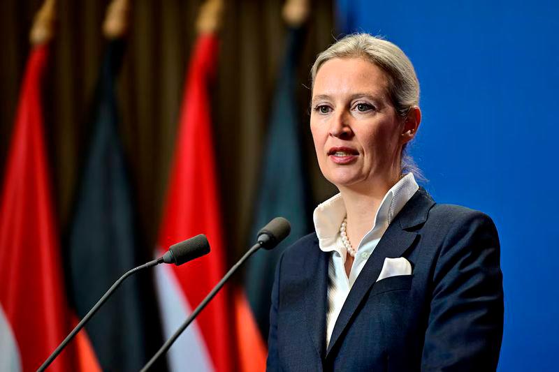 German far-right leader is a Chinese-speaking economist with foreign partner German far-right leader is a Chinese-speaking economist with foreign partner