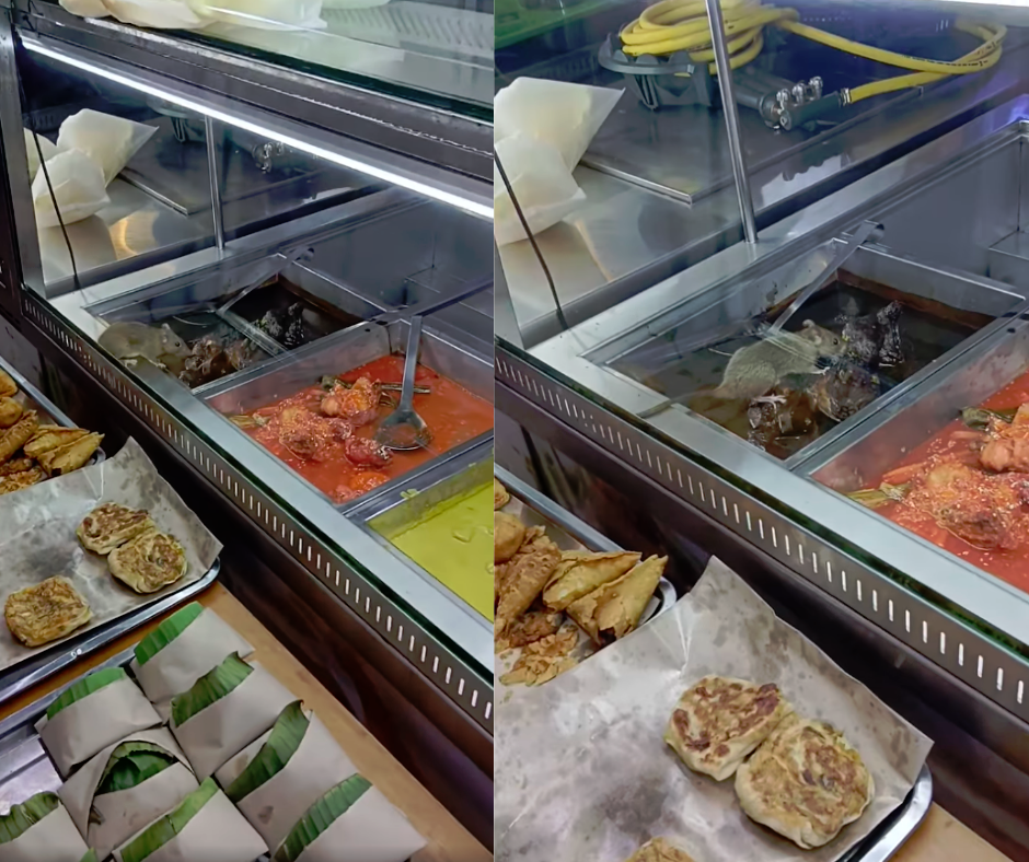 “I just ate there!” — Rat sighting at Mahkota Cheras mamak eatery leaves diners horrified