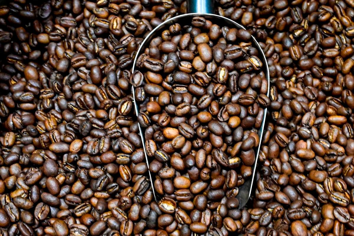 Japan venture seeks to export 'espresso' of hot springs Japan venture seeks to export 'espresso' of hot springs