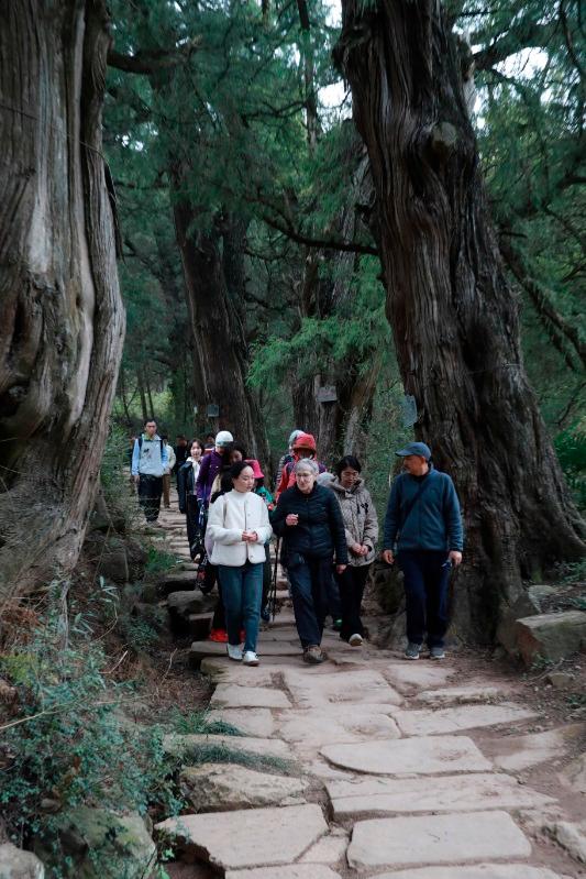 Jian’ge County in Guangyuan Hosts Handover Ceremony for Over 12,000 Ancient and Famous Trees Jian’ge County in Guangyuan Hosts Handover Ceremony for Over 12,000 Ancient and Famous Trees