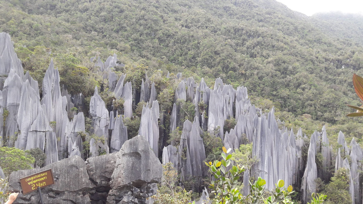 KDJA journalists explore Mulu Pinnacles for Sarawak Day KDJA journalists explore Mulu Pinnacles for Sarawak Day