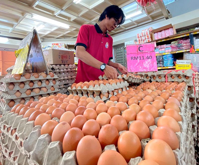 KPDN closely monitoring egg prices, supply following subsidy reduction - Armizan