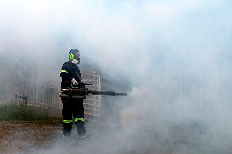 Kelantan sees decrease in dengue cases Kelantan sees decrease in dengue cases