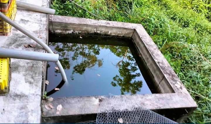 Lelaki OKU ditemukan lemas dalam kolam Lelaki OKU ditemukan lemas dalam kolam
