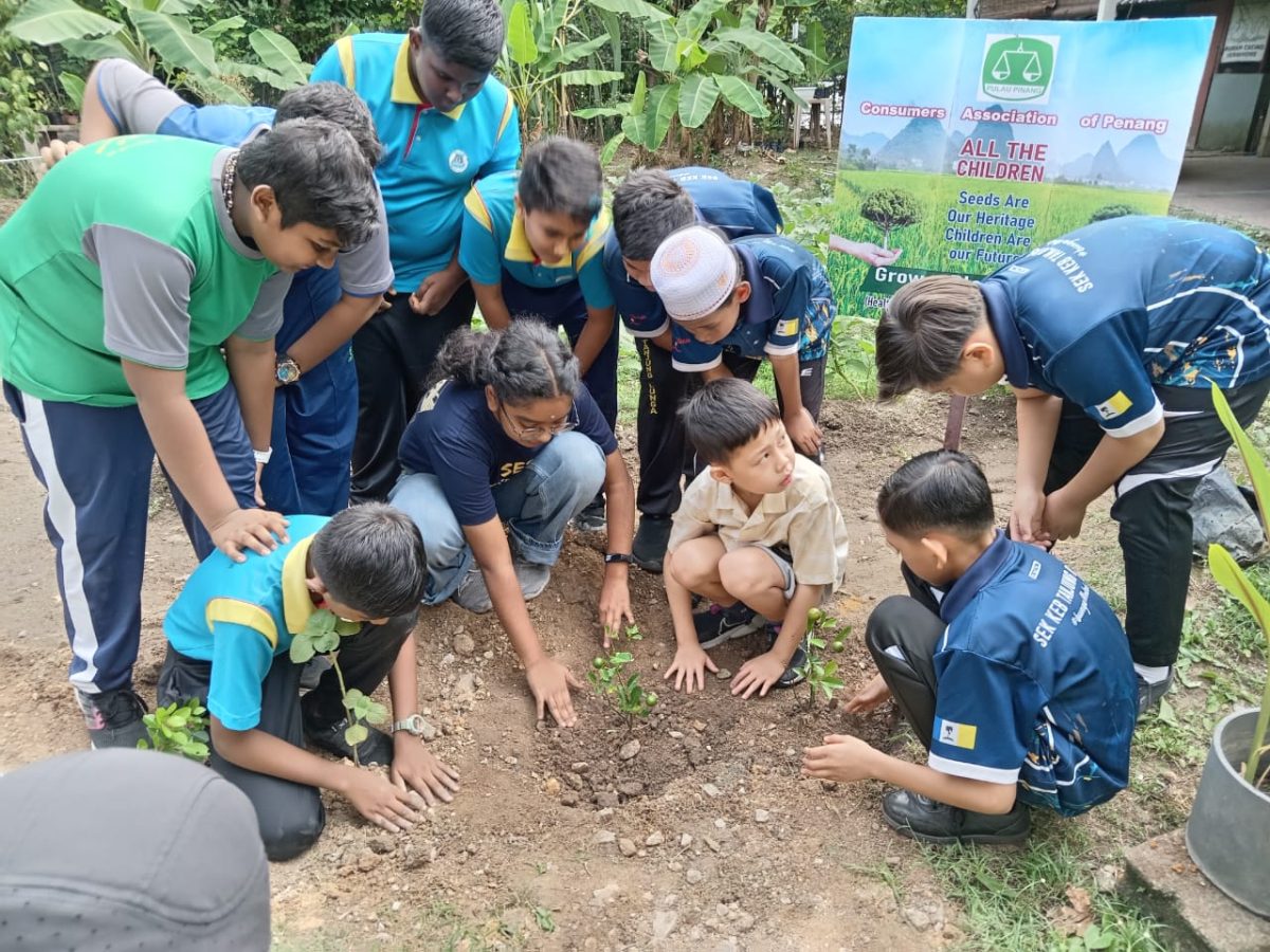 Cultivating green thumbs among kids Cultivating green thumbs among kids