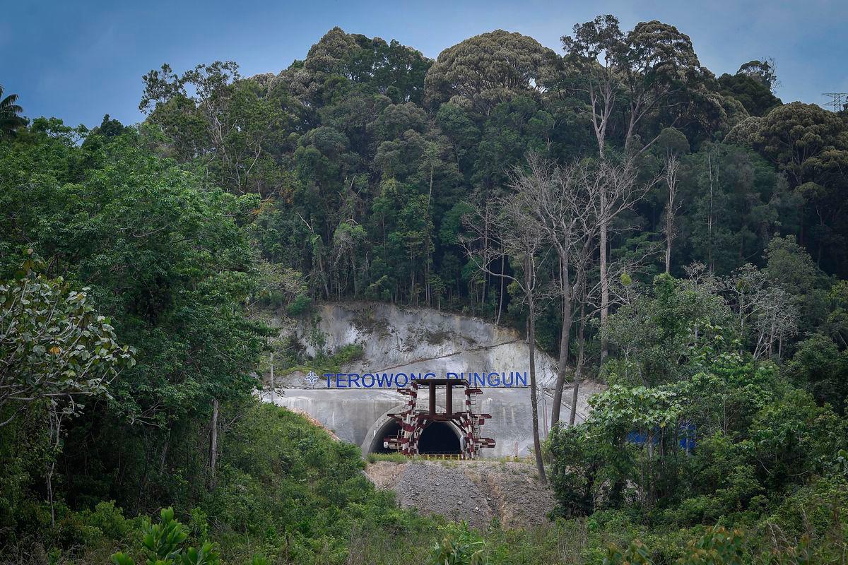 MRL tanam 3,000 anak pokok di Hutan Simpan Kekal Lentang
