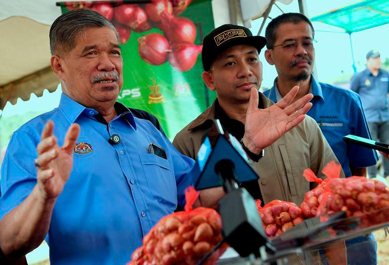 Malaysia can save RM300 million with local onion cultivation - Mohamad Malaysia can save RM300 million with local onion cultivation - Mohamad