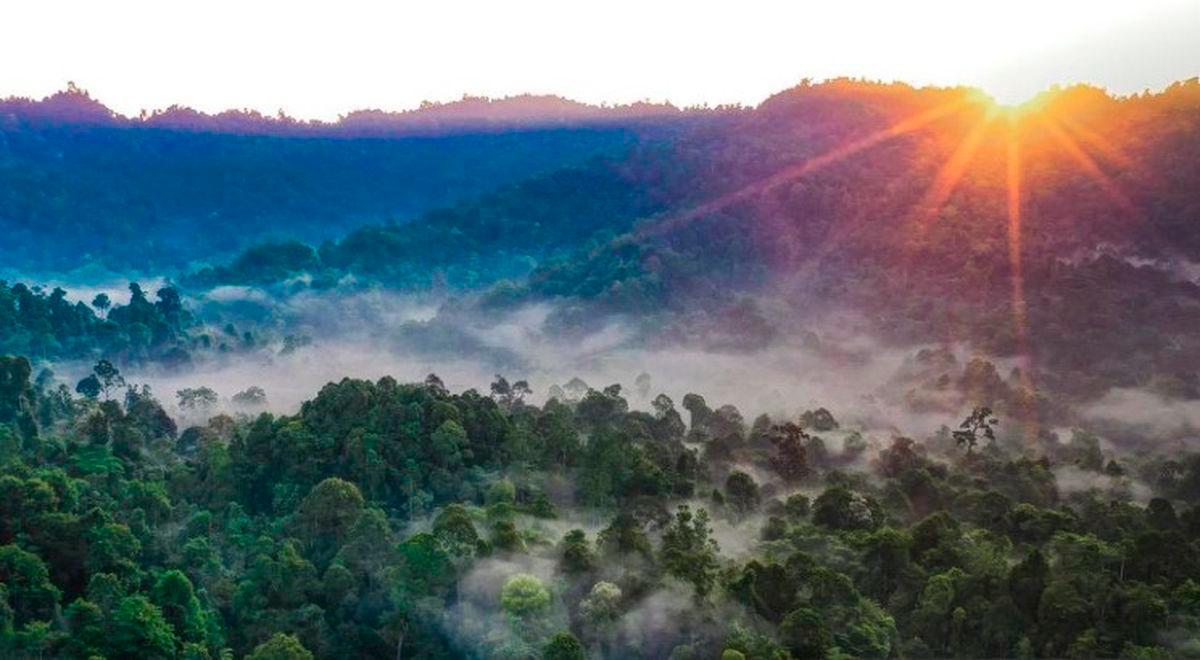 Malaysia urged to prioritise climate finance in 13MP for forest protection