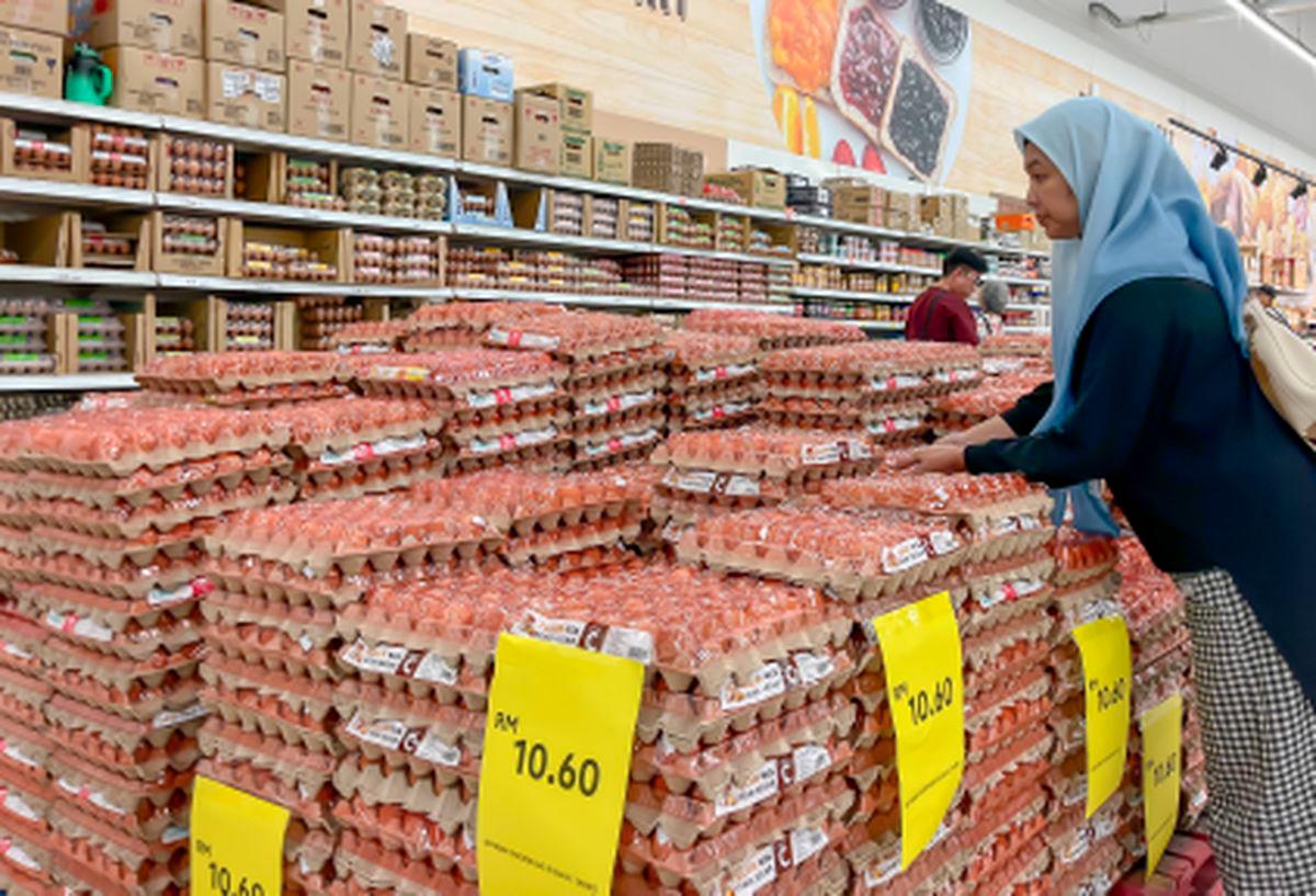 Malaysia’s egg supply stable as local production exceeds domestic demand Malaysia’s egg supply stable as local production exceeds domestic demand