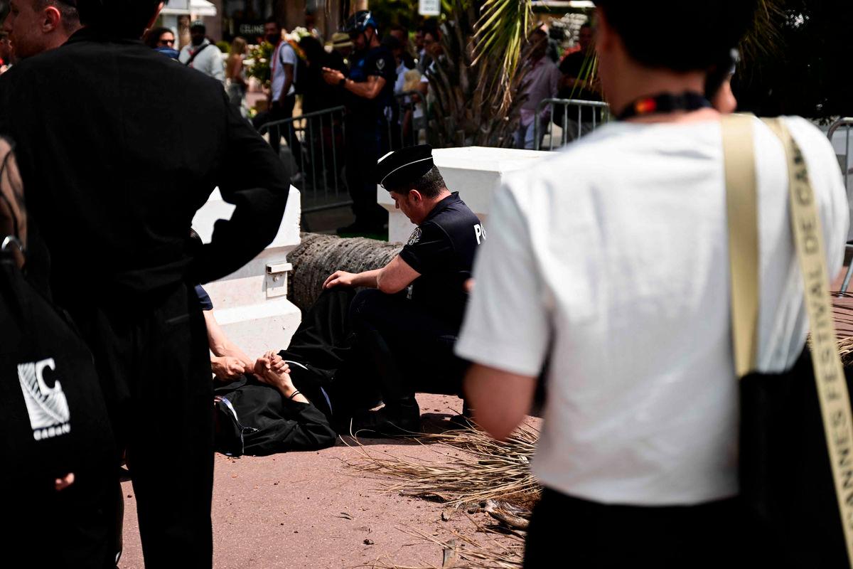 Man badly hurt by falling palm tree at Cannes film festival Man badly hurt by falling palm tree at Cannes film festival