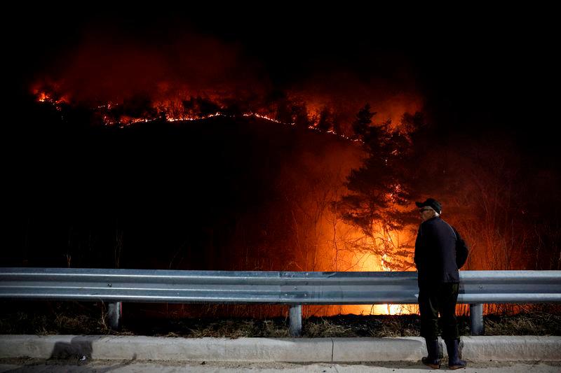 Man booked over worst wildfires in South Korea’s history Man booked over worst wildfires in South Korea’s history