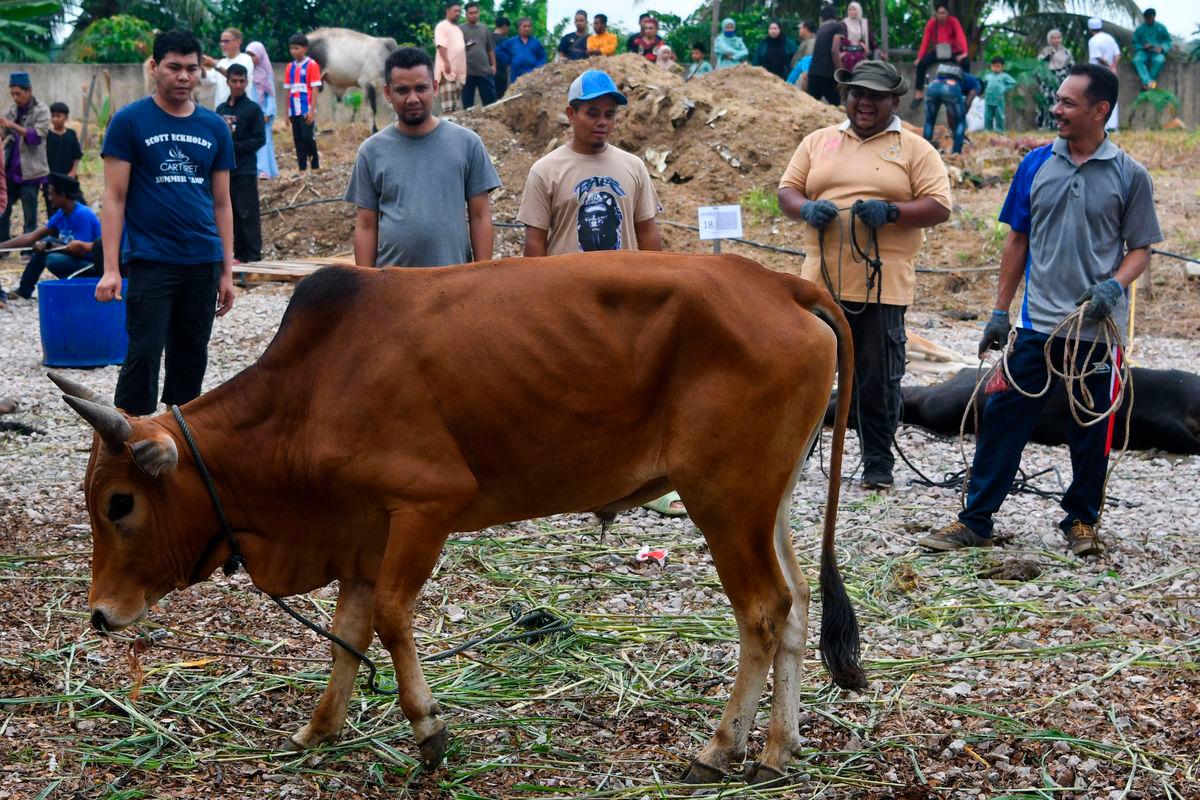 Man dies of heart attack during sacrificial ritual