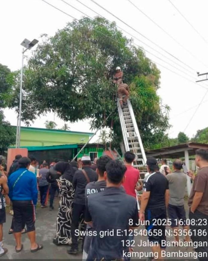Man electrocuted while plucking mangoes with metal rod